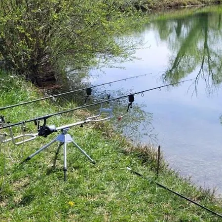 캠프장 Mobil 5pers Proche Europa Park Dans 3etoiles *