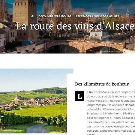 Mobil 5pers Proche Europa Park Dans 3etoiles *