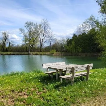 Mobil 5pers Proche Europa Park Dans 3etoiles *