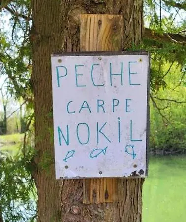 캠프장 Mobil 5pers Proche Europa Park Dans 3etoiles