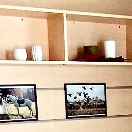 אתר קמפינג Mobil 5pers Proche Europa Park Dans 3etoiles *