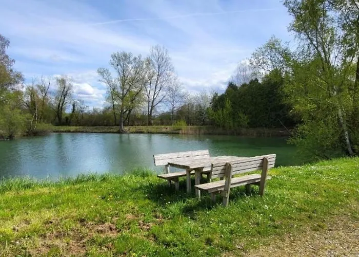 Mobil 5pers Proche Europa Park Dans 3etoiles *