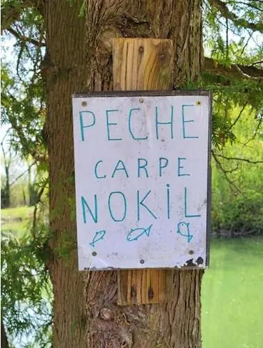 Campsite Mobil 5pers Proche Europa Park Dans 3etoiles